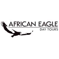 African Eagle Internship