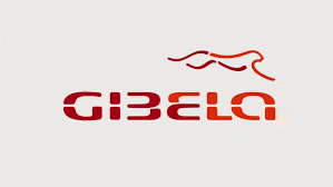 Gibela TECHNICAL SKILLS TRAINING