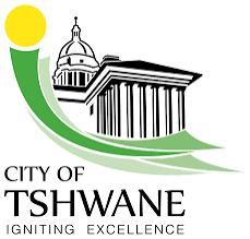 City of Tshwane artisan assistant