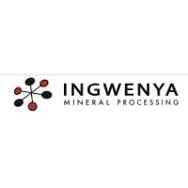 Ingwena mineral processing artisan assistant