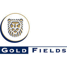 Gold fields electrical learnership