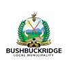 Bushbuckridge Local municipality artisan electrical assistant